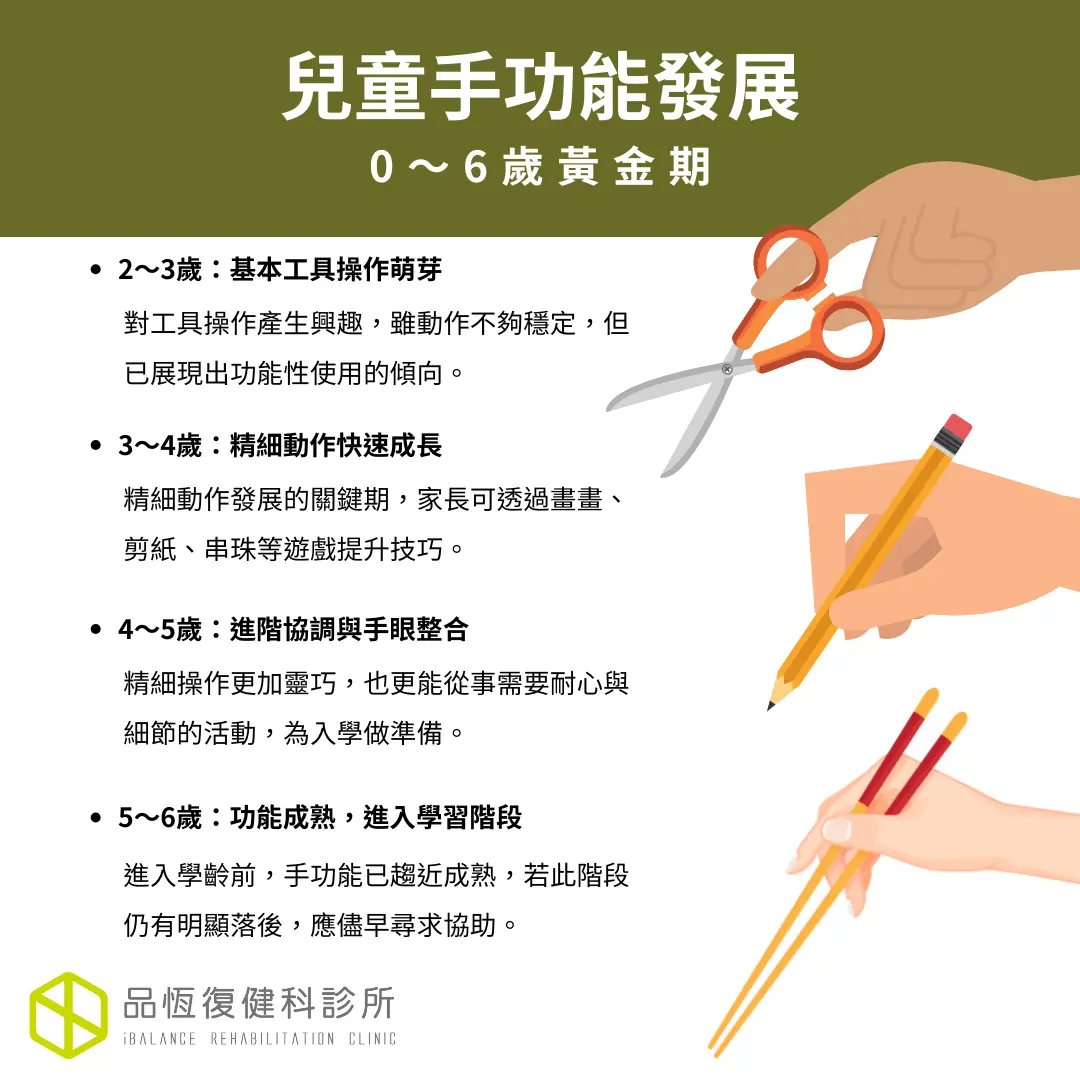 兒童手功能發展 兒童手功能發展