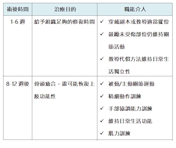 手部外傷的職能訓練 手部外傷的職能訓練